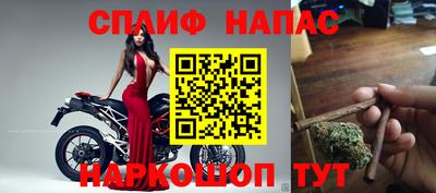 индика Беслан