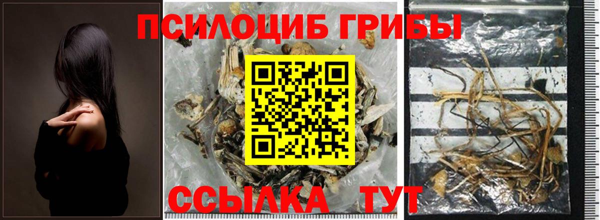 Звенигород  Псилоцибиновые грибы GOLDEN TEACHER  Галлюциногенные грибы прущие грибы  Вход с VPN 